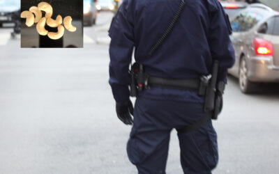 Sju polisnötter